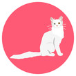 © krokus312 - Cats of different breeds. Icons. Vector image in a flat style. Illustration on a round background. Element of design, interface