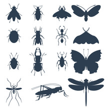Insects Silhouette Icons Isolated Wildlife Wing Detail Summer Bugs Wild Vector Illustration
