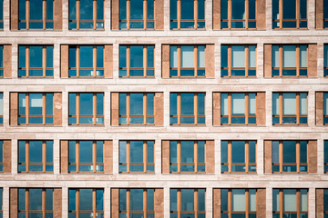 Canvas Print - real estate exterior ,  modern building facade