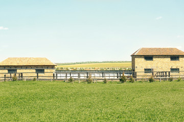 Poster - Beautiful pasture with green grass on farm