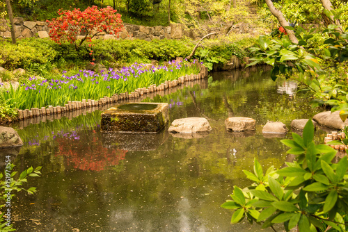 Water Basin With Stepping Stones In A Japanese Zen Garden Wide