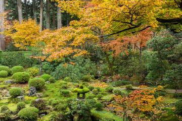 Poster - Japanese temple in autumn