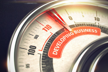 Poster - Developing Business - Conceptual System with Red Needle Pointing the Label with Text. Business Concept. Horizontal image. 3D.