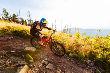 Wall Mural - MTB Mountain biker riding downhill