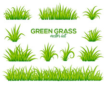 Vector Tufts Of Grass Isolated On White Background