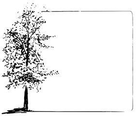 Trees collection. Ink trees grunge frame