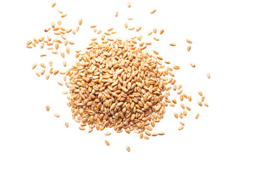 Heap of wheat seeds isolated on white background
