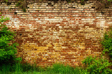 Old Brick Wall Background With Green Grass. 