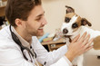 © Nestor - Handsome male veterinarian examining cute jack russel terrier at the hospital