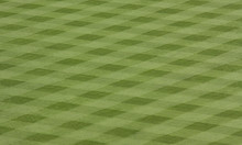 Outfield Grass At Major League Stadium