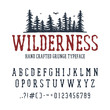 Hand drawn Wilderness font. Latin alphabet vector letters, numbers, and signs. PIne trees vector illustration.