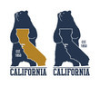 California t-shirt with grizzly bear. Vector illustration