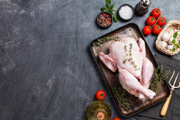 Canvas Print - raw chicken with herbs