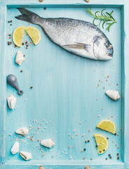 Fresh Sea bream or dorado raw uncooked fish with seasoning and lemon slices over turquoise blue tray background, top view, copy space