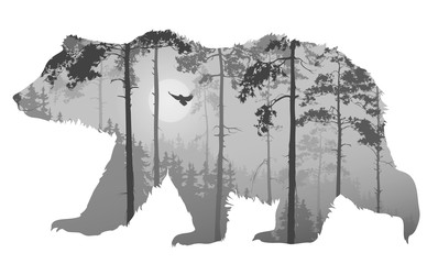 bear