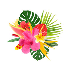  Tropical Flowers On A White Background