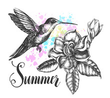 Background With Ink Hand Drawn Flying Colibri Bird And Magnolia Flowers With Leaves. Template For Cards, Banners With Brush Calligraphy Style Lettering. Vector Illustration.