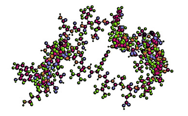 Poster - Molecular structure of insulin,3D rendering