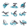 Whale among sea waves and splashes vector icon set
