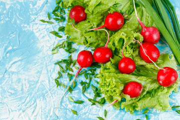 Fresh radishes in a green leafy salad with green onions