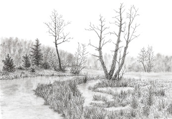 grassy swamp with stream and trees