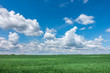 Spring or summer landscape with green meadow and blue sky