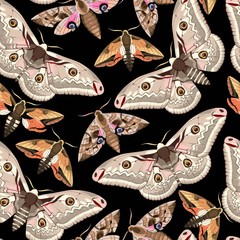 Canvas Print - Flying moths seamless