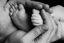 Cute Child Baby Babe Little Foot In The Father Hands. Classical Closeup Shot About Family Values And Parents Child Children Love. Baby Babe Body Foot Leg. Father Hand Fingers. Black And White New Born
