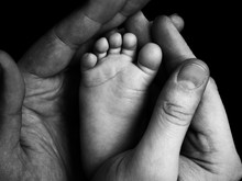 Cute Child Baby Babe Little Foot In The Father Hands. Classical Closeup Shot About Family Values And Parents Child Children Love. Baby Babe Body Foot Leg. Father Hand Fingers. Black White New Born