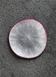 © The Picture Pantry - Slice of radish