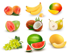 Wall Mural - Collection of fruit and berries. Watermelon, grape, pear, banana, mango, coconut, peach, guava. Vector Set.