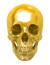 Golden Human Skull, Isolated Against The White Background