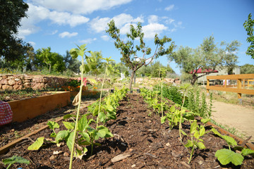 Gardening and farming