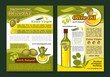 Olive oil poster template for healthy food design