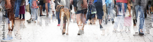 Fotografía City walk, double exposure of a large crowd of people and a dog, abstract panora