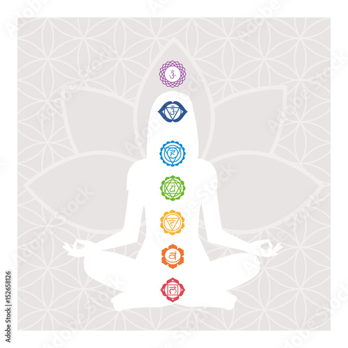 Obraz na plátně Chakras and energy body