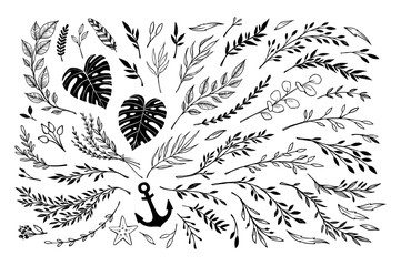 Wall Mural - Hand sketched vector vintage elements ( laurels, frames, leaves, flowers, swirls, branches). Wild and free. Summer collection. Perfect for invitations, greeting cards, posters, prints etc