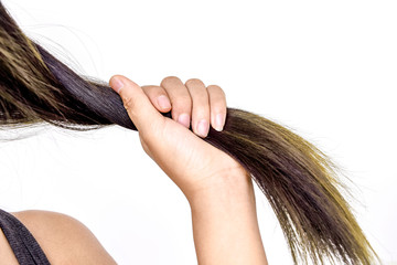  Combing with brush and pulls long hair.Daily preparation for looking nice, Long Disheveled Hair,Holding Messy Unbrushed Dry Hair In Hands.Hair Damage,Health And Beauty Concept,unhappy with dry hair