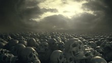 Field Of Skulls. 