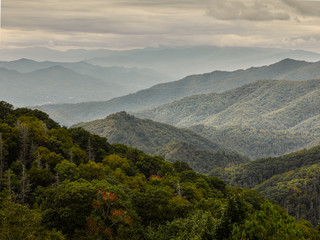 Green misty mountain landscape 