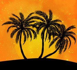 Palms silhouettes at orange sunset sk