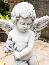 Little Cupid Statue In The Garden