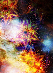Poster - Filigrane floral ornament with mandala shape on cosmic backgrond, computer collage.