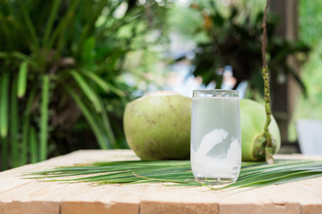 coconut juice,drink coconut water nature background