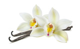 Fototapeta Storczyk - Double vanilla flower pods isolated on white