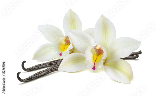 Cuadros en Lienzo Double vanilla flower pods isolated on white