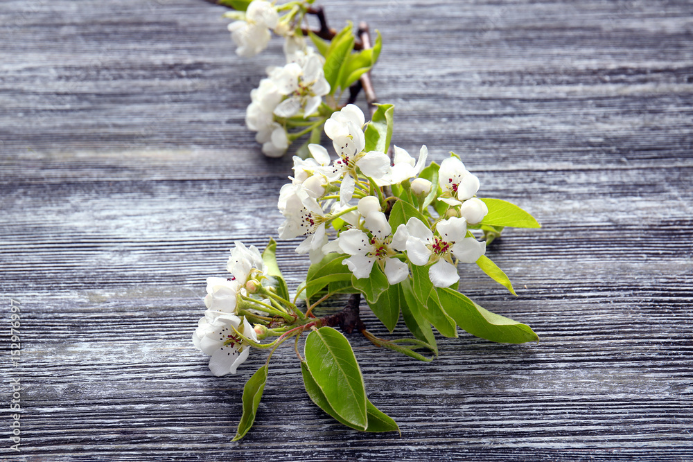 Tree branches with blooming flowers on wooden background