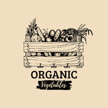 Vector Organic Vegetables Logo. Farm Eco Products Illustration. Hand Sketched Wooden Box With Greens.