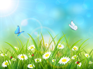 Wall Mural - Blue nature background with sun and butterflies