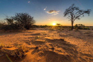 sonnenuntergangs-stimmung in der kalahari
